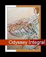 Odyssey Integral