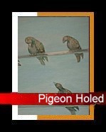 Pigeon Holed